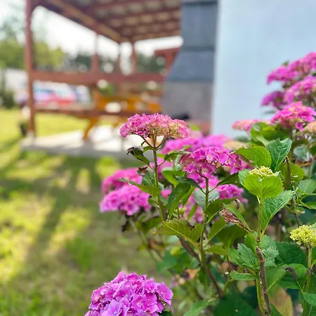 U Tomasza בית נופש