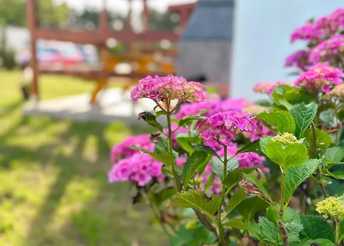 U Tomasza Prázdninový dům